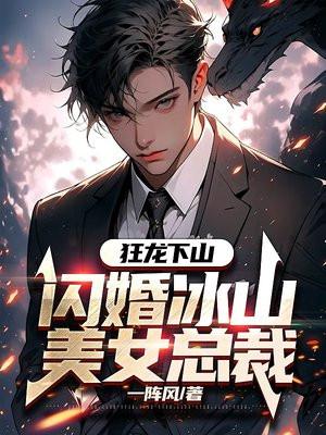 偷心追缉令