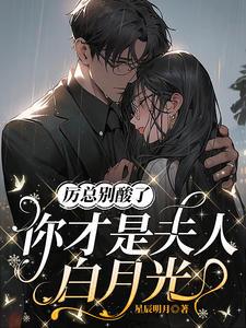 网王 君岛