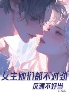 超级收藏家系统