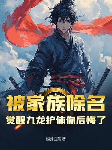 官场仕途崛起之路